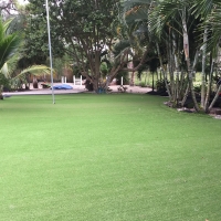 Artificial Lawn Farmington, Illinois Landscape Ideas, Commercial Landscape