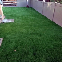 Artificial Pet Grass Palatine Illinois Installation Front