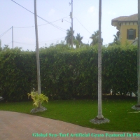 Artificial Turf Stickney Illinois Landscape