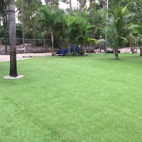 Best Artificial Grass North Aurora, Illinois Lawn And Garden, Commercial Landscape