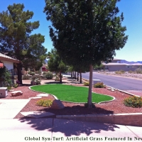 Fake Turf Cicero Illinois Lawn