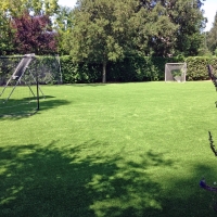 Fake Turf Sports Fields Skokie Illinois Back Yard