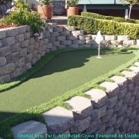 Putting Greens Oak Park Illinois Artificial Grass