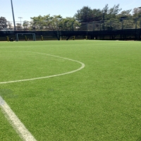 Synthetic Grass Stadium Westchester Illinois Back Yard