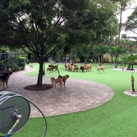 Synthetic Pet Grass Bartlett Illinois Installation