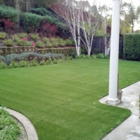 Synthetic Pet Grass Palos Park Illinois Installation Front