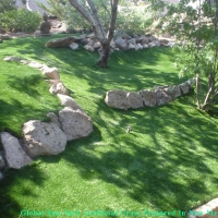 Synthetic Turf Cicero Illinois Lawn