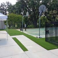 Synthetic Turf Sports Berkeley Illinois Front Yard