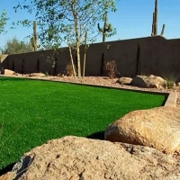Synthetic Turf Tinley Park Illinois Landscape Back Yard