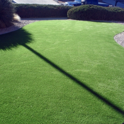 Artificial Grass Indian Head Park Illinois Lawn Back Yard