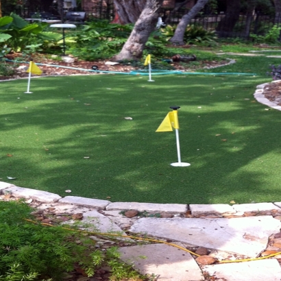 Artificial Grass Oak Lawn Illinois Landscape