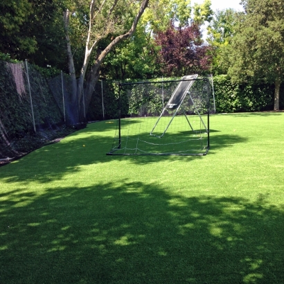 Artificial Grass Sports Wilmette Illinois Back Yard