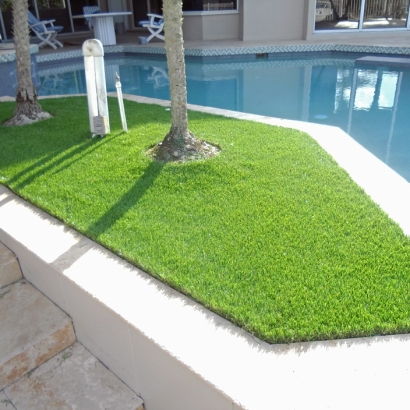 Artificial Grass Summit Illinois Landscape