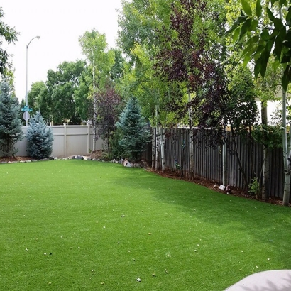 Artificial Pet Turf Fairmont Illinois for Dogs Back Yard