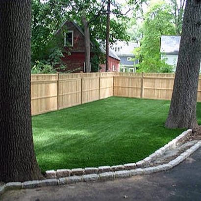 Artificial Pets Areas South Holland Illinois Installation
