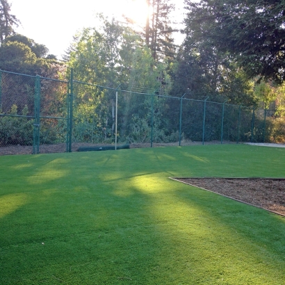 Artificial Turf Blue Island Illinois Kindergarten Swimming