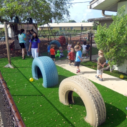 Artificial Turf Burr Ridge Illinois Playgrounds Front Yard