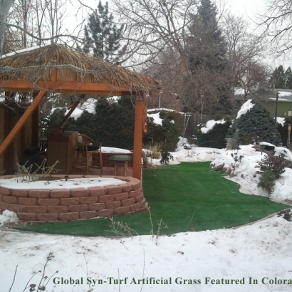 Artificial Turf Forest View Illinois Lawn