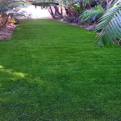 Artificial Turf Lincolnshire Illinois Lawn