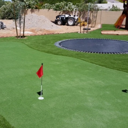 Artificial Turf Sleepy Hollow, Illinois Home Putting Green, Backyards