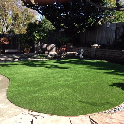 Artificial Turf Vernon Hills Illinois Lawn