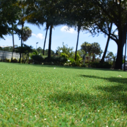 Best Artificial Grass Barrington, Illinois Paver Patio, Recreational Areas