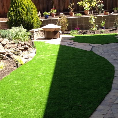 Best Artificial Grass Lake Barrington, Illinois Design Ideas