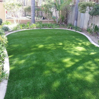 Fake Grass Carpet Crystal Lawns, Illinois Landscape Design