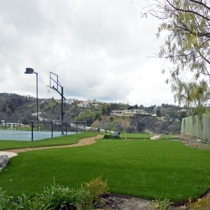 Fake Grass School Stadium Addison Illinois Commercial Landscape