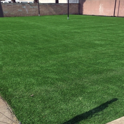 Fake Grass Sports Fields Oakbrook Terrace Illinois Back