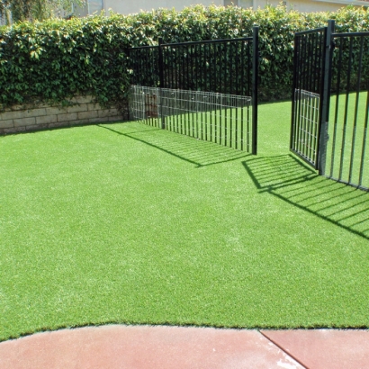 Fake Pet Turf Streamwood Illinois Installation