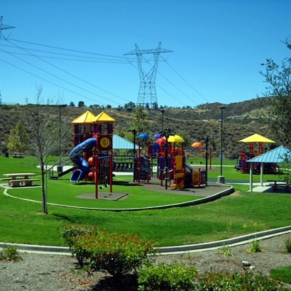 Fake Turf Gary Indiana Playgrounds Dogs Runs Back Yard