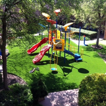 Fake Turf Norridge Illinois Childcare Facilities Front Yard