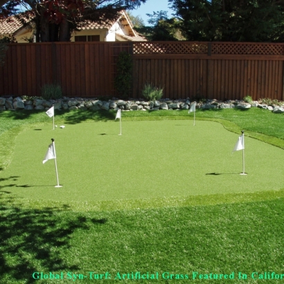 Golf Putting Greens Berwyn Illinois Artificial Turf