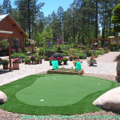 Golf Putting Greens Cicero Illinois Synthetic Grass
