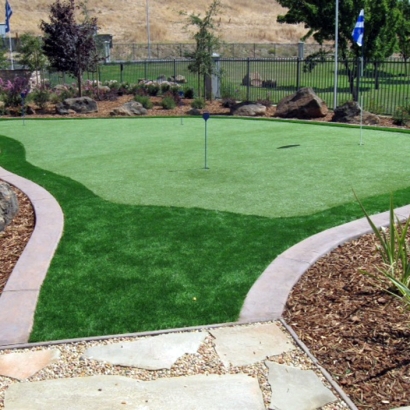 Golf Putting Greens Des Plaines Illinois Synthetic Turf Commercial