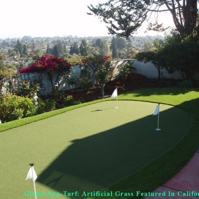 Golf Putting Greens Forest View Illinois Fake Grass