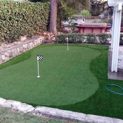 Golf Putting Greens Goodings Grove Illinois Synthetic Turf