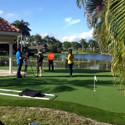 Golf Putting Greens Lyons Illinois Synthetic Grass