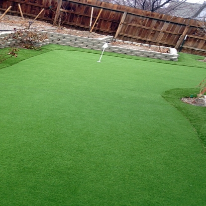 Golf Putting Greens Monee Illinois Fake Grass Front Yard