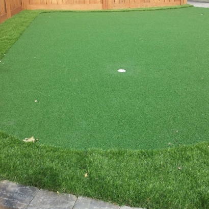 Golf Putting Greens Steger Illinois Artificial Grass Front