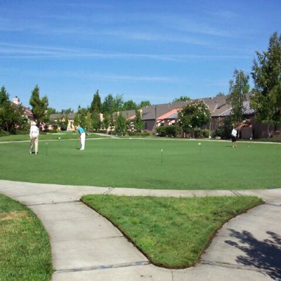 Golf Putting Greens University Park Illinois Artificial Grass