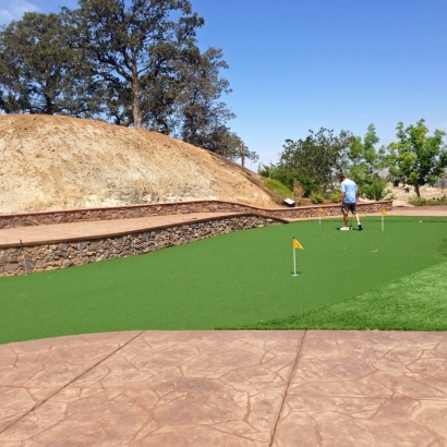 Golf Putting Greens Westmont Illinois Artificial Grass Back