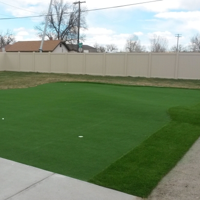 Grass Carpet Plainfield, Illinois Putting Greens, Beautiful Backyards