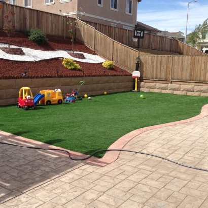 Grass Carpet Rockdale, Illinois Athletic Playground, Backyards