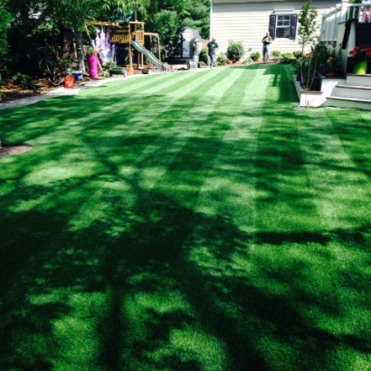 Grass Turf Boulder Hill, Illinois Gardeners, Backyard Makeover