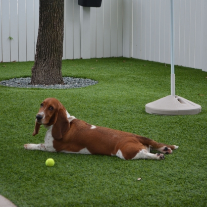 Plastic Grass North Barrington, Illinois Dog Running, Dogs Park