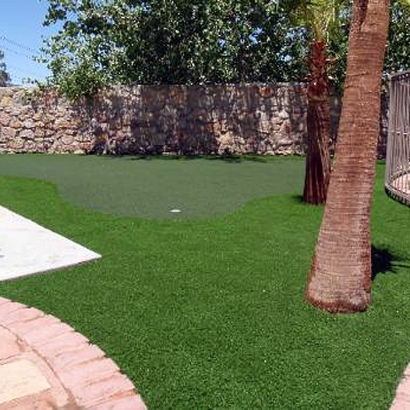 Putting Greens Buffalo Grove Illinois Fake Grass Front Yard