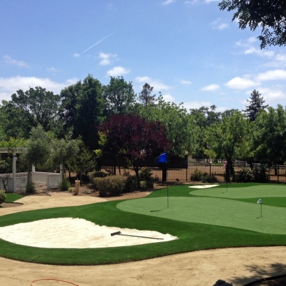 Putting Greens Frankfort Illinois Fake Grass Front Yard