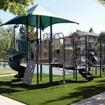 Synthetic Grass Bellwood Illinois Kindergarten Front Yard